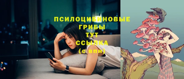 соль курить ск Алексеевка